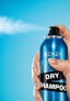 Фото #6 товара Redken Deep Clean Dry Shampoo Сухой шампунь для волос