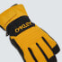 Фото #5 товара OAKLEY APPAREL B1B gloves