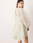 Фото #4 товара ASOS EDITION floral cutwork embroidered organza mini dress in sage green