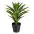 Фото #1 товара Декоративное растение Зеленый PVC Лилия