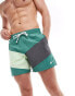 Фото #1 товара Nike Swimming Multi Logo Vortex 5 inch volley colourblock swim shorts in bicoastal green