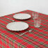 Stain-proof tablecloth Belum 200 x 155 cm