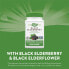 Фото #12 товара Nature's Way, черная бузина, 575 мг, 100 вегетарианских капсул