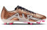Фото #3 товара Кроссовки Nike Zoom Vapor 15 Academy FGMG DR5941-810