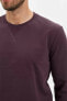 Erkek Mor Basic Regular Fit Sweatshirt M7823AZ.20SP.PR38