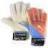 PUMA Ultra Protect 2 goalkeeper gloves