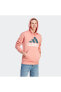 Essentials Logo Erkek Kapüşonlu Sweatshirt Ij8568