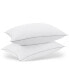 Cotton Rich 2-Pack Pillows, Standard/Queen