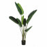 Фото #1 товара Декоративное растение PVC Железо Стрелиция королевская 150 cm