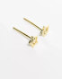 Kingsley Ryan double star cut out stud earrings in gold plated