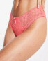 Pour Moi Rebel lace high leg brief in coral