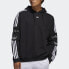 Adidas Originals TS TRF HOODY ED7115 Sweatshirt