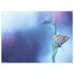 Фото #1 товара Tischset Schmetterling II (12er-Set)