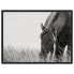 Фото #1 товара Bild Sable Horse