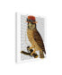 Фото #2 товара Fab Funky Owl with Steampunk Style Bowler Hat Canvas Art - 19.5" x 26"