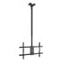 TV Ceiling Support TooQ LPCE1186TSLI-XL-B 43" 86" 60 Kg