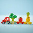 Фото #43 товара LEGO 10982 DUPLO My First Fruit and Vegetable Tractor, Sorting and Stacking Toy for Babies and Toddlers Aged 1 and 10981 DUPLO My First Growing Carrot