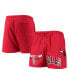 ფოტო #1 პროდუქტის Men's Red Chicago Bulls Mesh Capsule Shorts