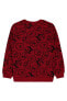 Фото #14 товара Erkek Çocuk Sweatshirt 2-5 Yaş Bordo