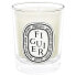 Diptyque Figuier