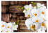 Фото #1 товара Fototapete Blooming orchids