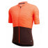 Фото #3 товара SANTINI Colore Riga short sleeve jersey