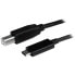 Фото #2 товара StarTech.com USB-C to USB-B Cable - M/M - 1m (3ft) - USB 2.0 - 1 m - USB C - USB B - USB 2.0 - Male/Male - Black