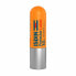 Lip balm Isdin SPF 30 (4 g)