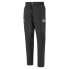 Фото #4 товара [531130-01] Mens Puma BMW Motorsport Street Pants