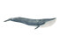 Фото #1 товара Schleich Wild Life Blue whale - 3 yr(s) - Boy/Girl - Multicolour - Plastic - 1 pc(s)