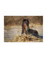 Фото #1 товара Vedran Vidak Horse in Water Canvas Art - 20" x 25"