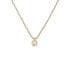 Фото #1 товара Ted Baker sININAA: Crystal Pendant Necklace For Women