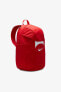 Фото #31 товара Рюкзак Nike Academy Team DV0761- Backpack 2.3 Унисекс Красный