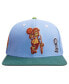 Фото #4 товара Men's Light Blue, Green Boston Celtics Retro Program 2-Tone Snapback Hat