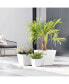 Фото #2 товара Rotterdam Durable Indoor and Outdoor Modern Planter, 8in