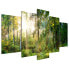 Фото #1 товара Acrylglasbild Green Sanctuary