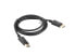 Lanberg CA-DPDP-10CC-0018-BK - 1.8 m - DisplayPort - DisplayPort - Male - Male - Silver/Gold