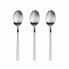 Set of Spoons San Ignacio Root SG7772 Matt Stainless steel 3 Units