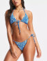 Фото #1 товара Candypants triangle shirred bikini top in blue ditsy floral