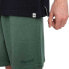 ELEMENT Cornell 3.0 shorts