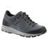 ფოტო #1 პროდუქტის ZAMBERLAN 205 Stroll Evo Goretex hiking shoes