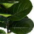 Фото #4 товара Kunstpflanze Ficus 155 cm