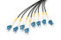 Фото #1 товара DIGITUS Pre-assembled Fiberglass Universal Breakout Cable, Single Mode OS2, 8 Fibers, LC/UPC - LC/UPC