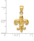 ფოტო #4 პროდუქტის Fleur-de-Lis Charm Pendant in 14k Yellow Gold