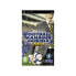 PLAYSTATION GAMES PSP Football Manager 2010