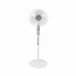 Freestanding Fan Orbegozo SF 0147 50 W White