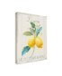 Фото #2 товара Danhui Nai Floursack Lemon III Canvas Art - 20" x 25"