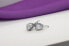 Sparkling silver earrings with clear zircons EA403W
