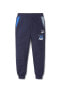 Фото #1 товара Брюки мужские PUMA Lastikli Paça Lacivert 53179606 LIL PUMA Sweatpants