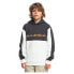 Фото #1 товара QUIKSILVER Knowledge Area hoodie